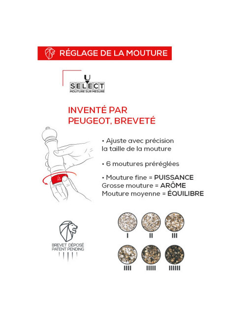 Moulin PEUGEOT SAVEURS Paris Select Naturel sel sec 12cm