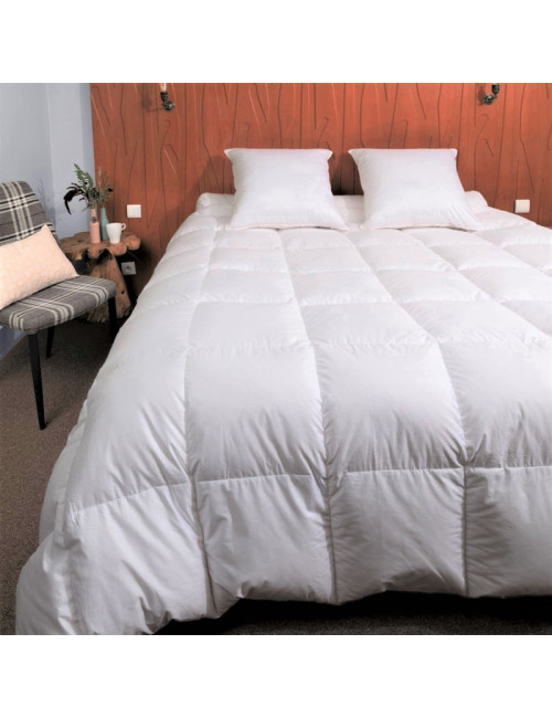 Couette MANUFACTURE CASTEX King Size Hiver oie Chaude 300g/m² - 2 tailles