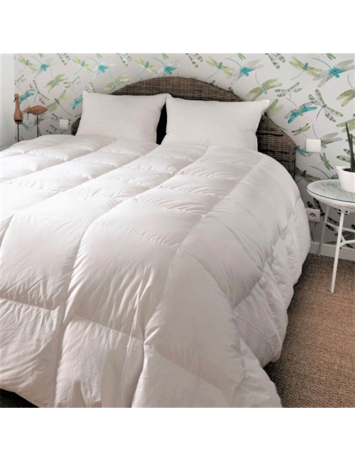 Couette MANUFACTURE CASTEX King Size mi-saison canard tempérée 250g/m² - 2 tailles
