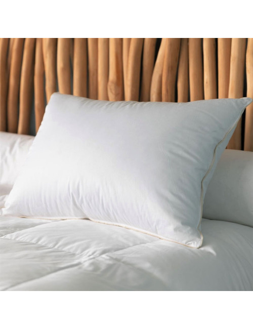 Oreiller MANUFACTURE CASTEX bio et écologique 90% duvet canard - 3 tailles
