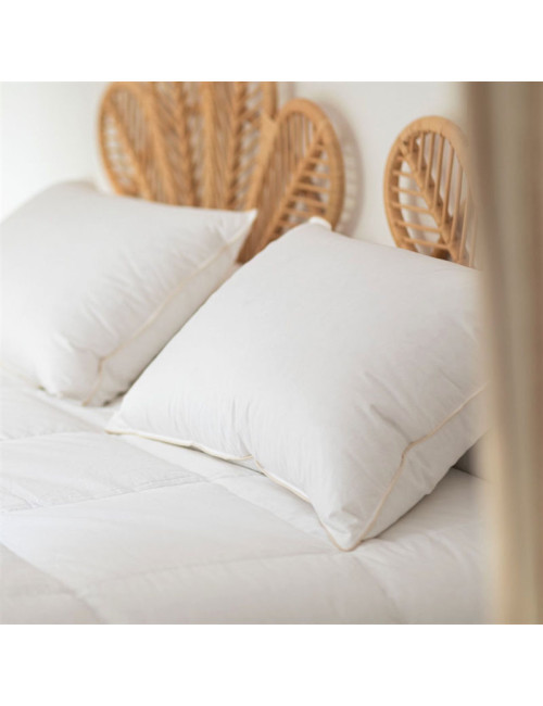 Oreiller MANUFACTURE CASTEX bio et écologique 90% duvet canard - 3 tailles