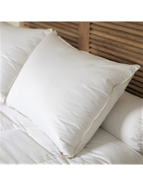 Oreiller MANUFACTURE CASTEX bio et écologique 90% duvet canard - 3 tailles