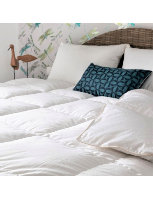 Couette MANUFACTURE CASTEX King Size mi-saison canard tempérée 250g/m² - 2 tailles