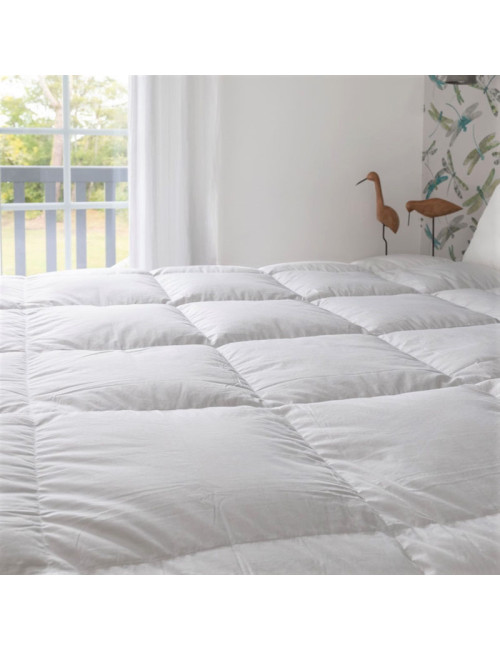 Couette MANUFACTURE CASTEX King Size mi-saison canard tempérée 250g/m² - 2 tailles