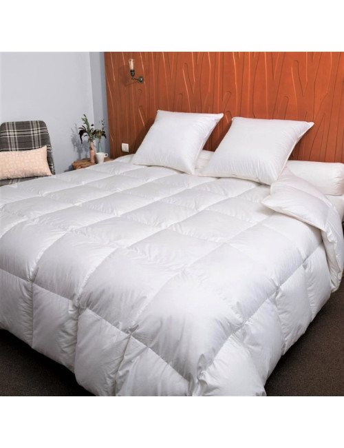 Couette MANUFACTURE CASTEX Hiver oie Chaude 300g/m² - 4 tailles