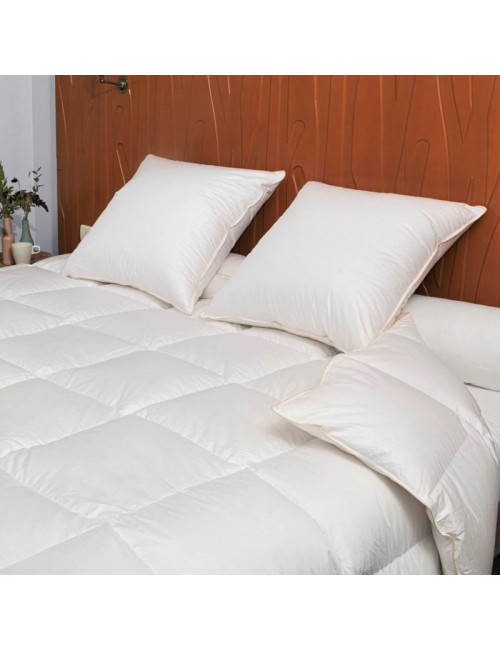Couette MANUFACTURE CASTEX King Size Hiver oie Chaude 300g/m² - 2 tailles