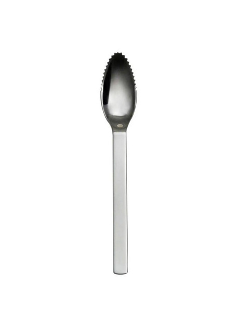 Set de 6 cuillères à agrumes DEGRENNE Modulo Miroir