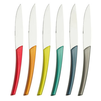 Coffret de 6 couteaux à steak DEGRENNE Quartz Miroir Multicolore