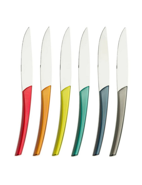 Coffret de 6 couteaux à steak DEGRENNE Quartz Miroir Multicolore
