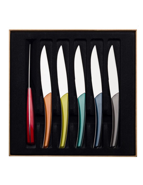 Coffret de 6 couteaux à steak DEGRENNE Quartz Miroir Multicolore