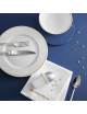 Coffret 4 pièces DEGRENNE Merveilles en porcelaine