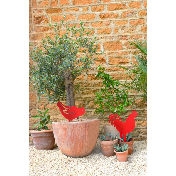 Cocotte Staub 22cm en fonte - 8 coloris