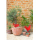 Cocotte Staub 22cm en fonte - 8 coloris