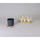 Lot de 4 sous verres en bois et leur base