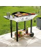 Plancha Roller Grill 600 Gaz avec desserte PL600G CHPS600