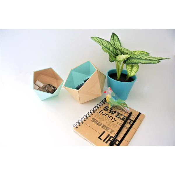 Boîtes origami érable et couleurs - Leewalia