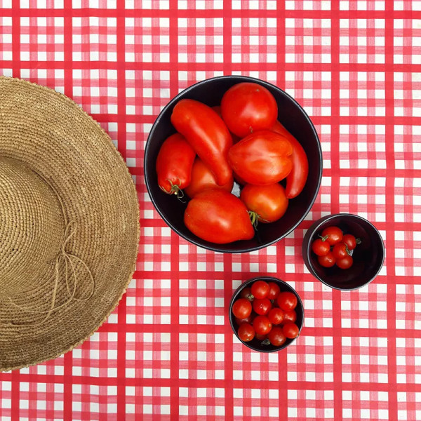 Nappe enduite Guinguette Rouge - Fleur de Soleil