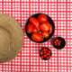 Nappe enduite Guinguette Rouge - Fleur de Soleil