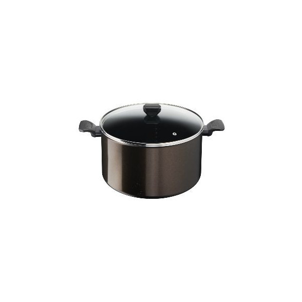 Marmite 30 cm 12.2L avec couvercle – Easy Cook & Clean - Tefal