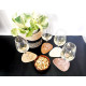 Dessous de verre original - Peeble - Leewalia