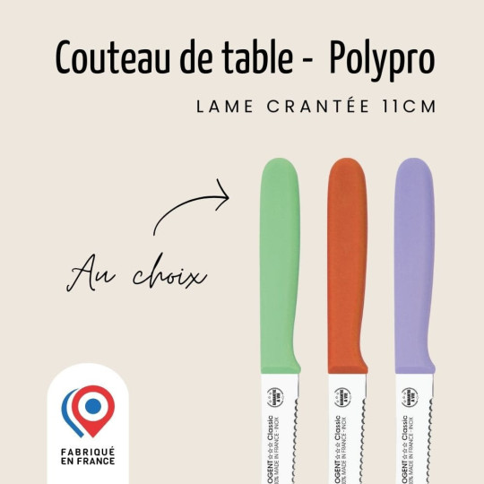 Couteau de table double crantage 11cm Polypro - Nogent 3 Étoiles