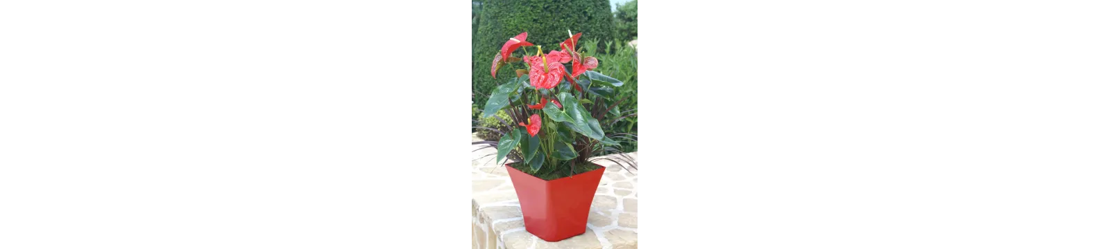 Pots de fleurs et soucoupes - Made in France